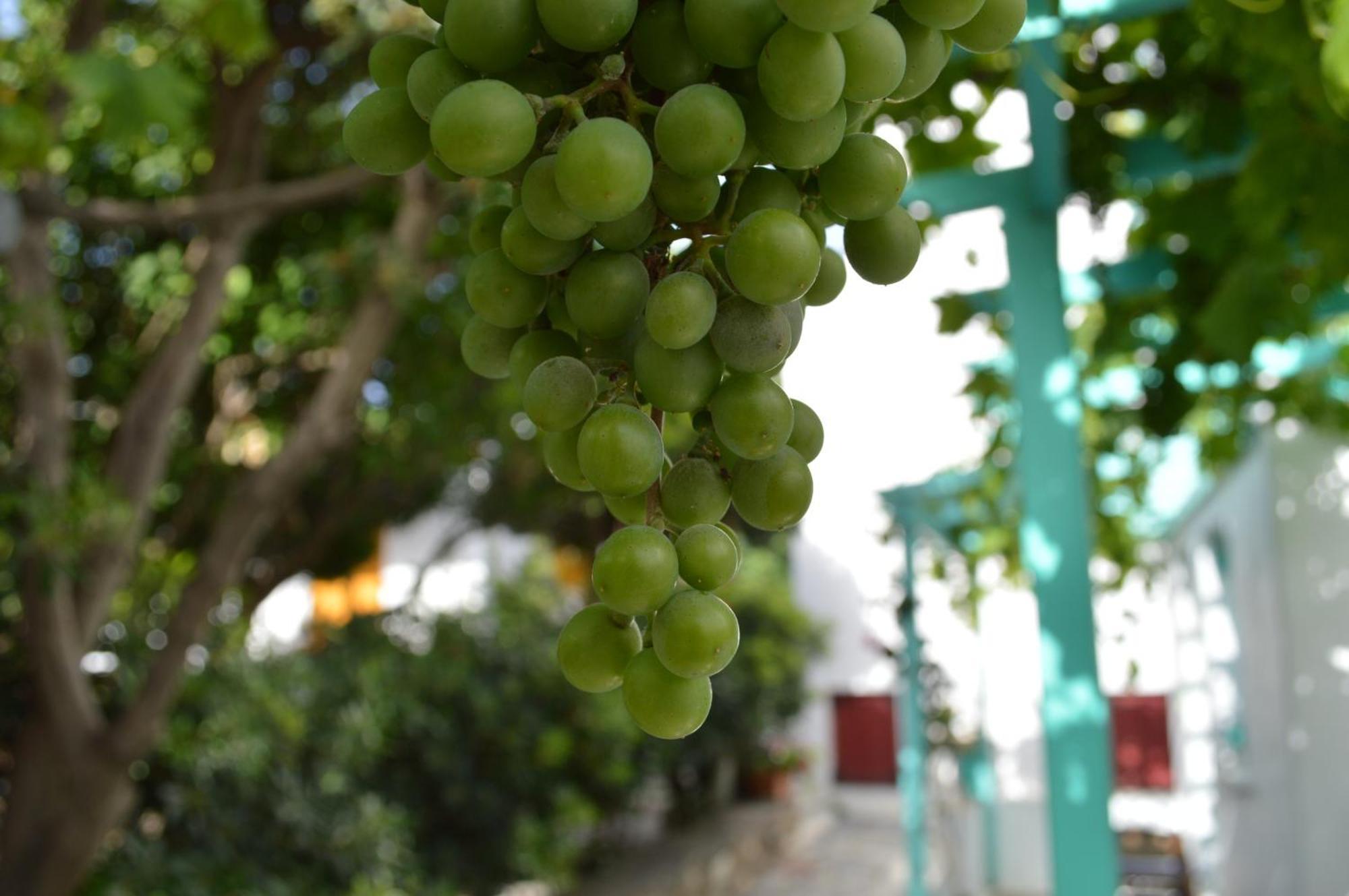 Aegean Village Páros Zewnętrze zdjęcie